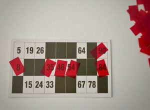 all lotto numbers